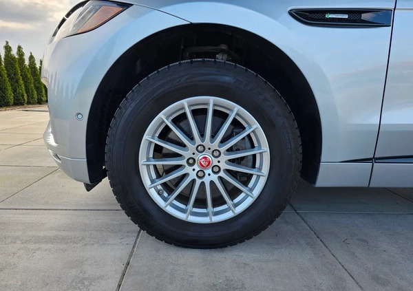 Jaguar F-Pace cena 149900 przebieg: 35000, rok produkcji 2017 z Szepietowo małe 562